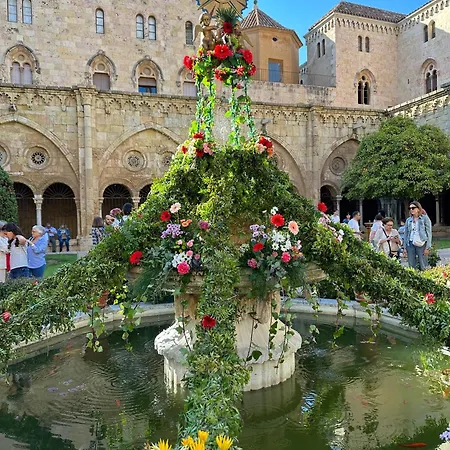 Tarraco Cathedral Tarragona
